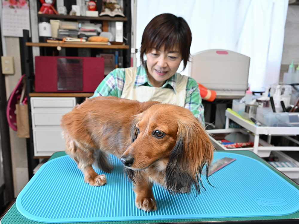 ご利用の流れ